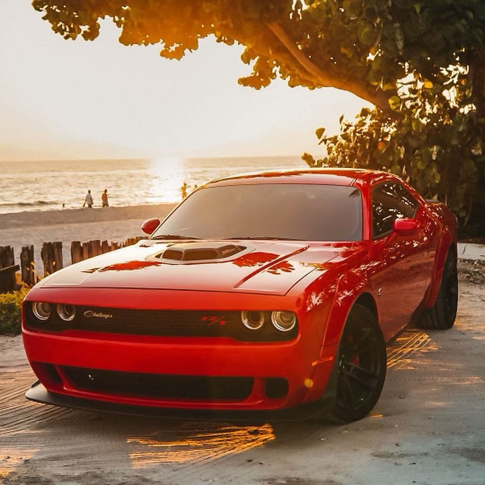 Purisic Performance | Naples FL