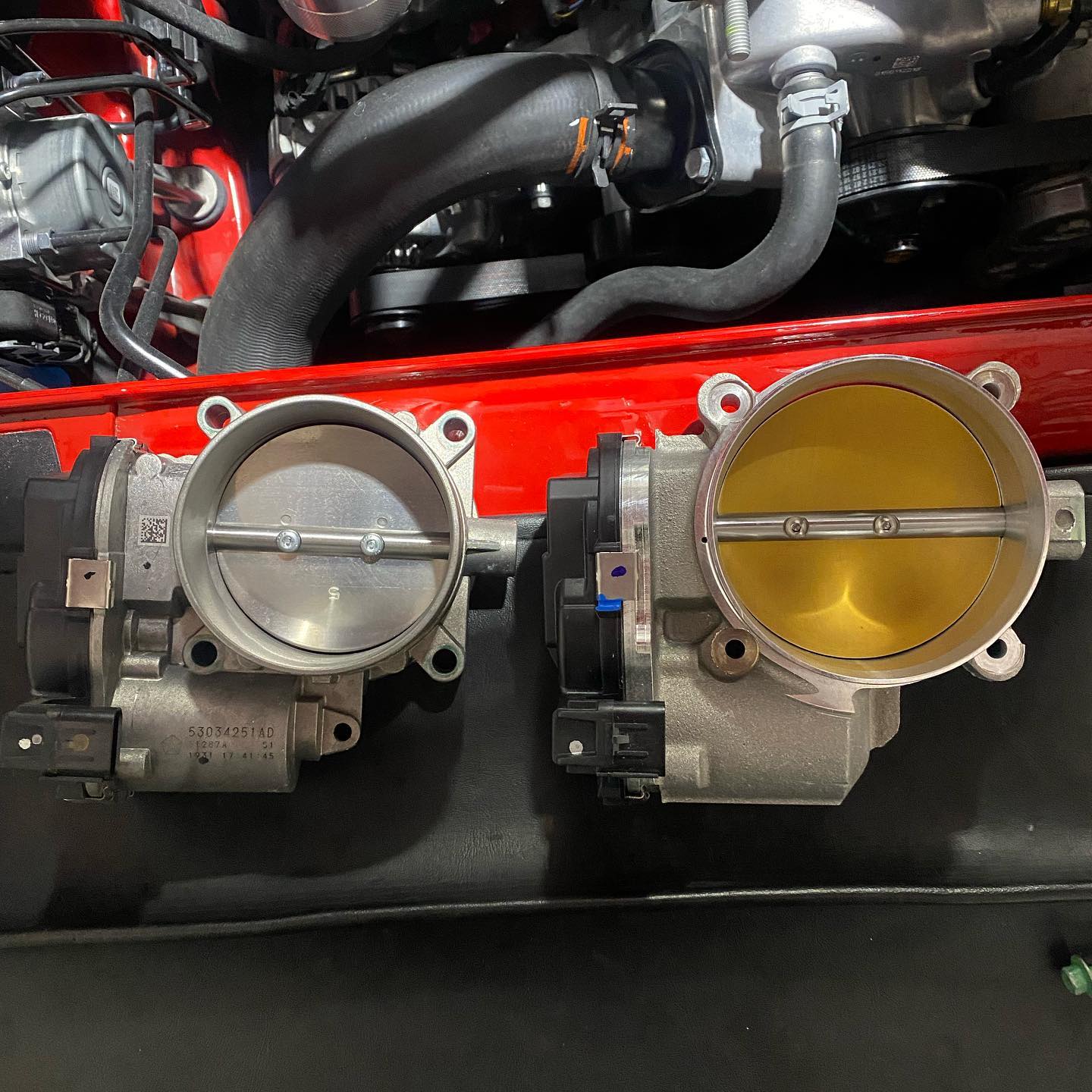 Purisic Performance | Naples FL