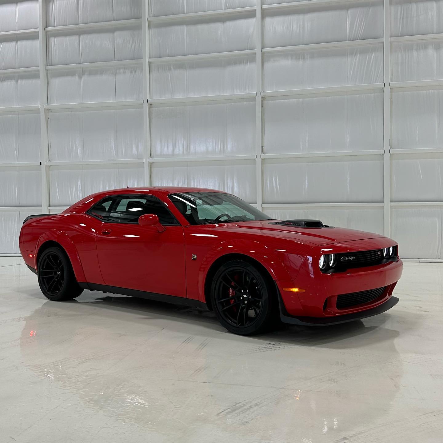 Purisic Performance | Naples FL