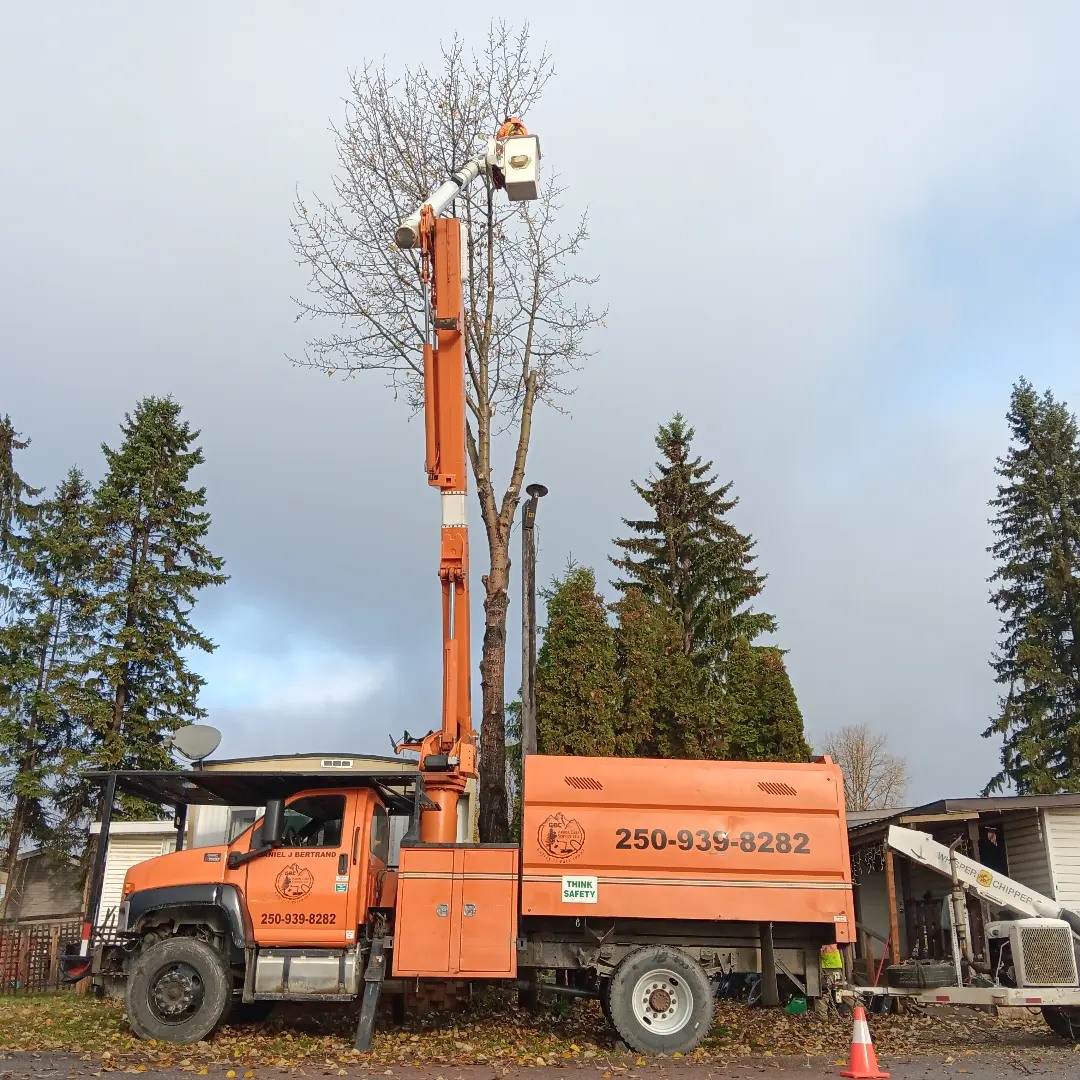 GBC Arbor Care Services Ltd. | Golden BC