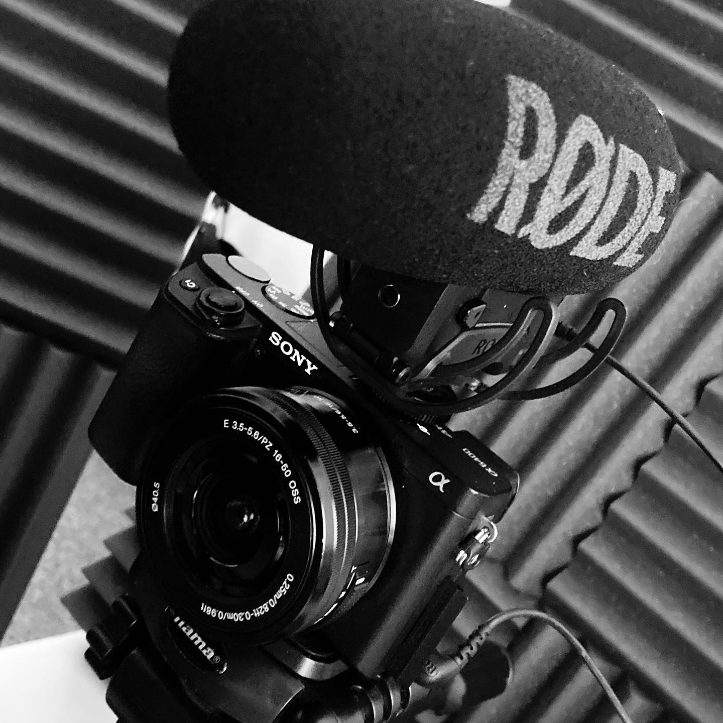 Lucy Alexandra Videography & Drone Services Home