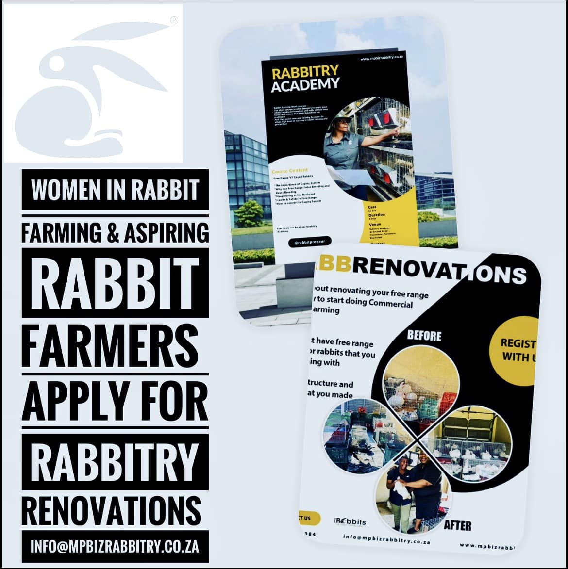 August is the women month and my... - Women In Rabbit Farming | Facebook