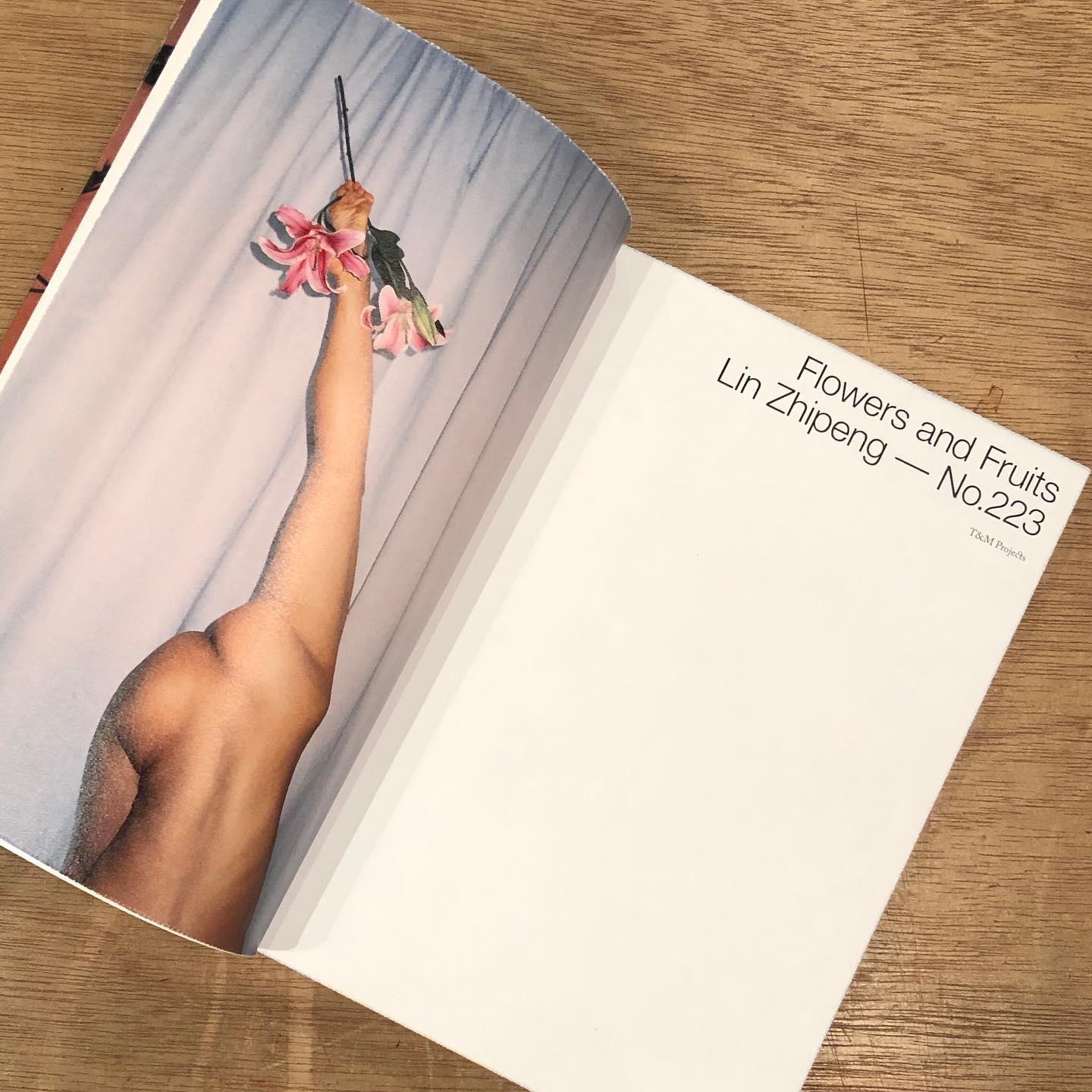 新入荷 Lin Zhipeng No.223 “Flowers and Fruits” 昨年の夏に日本でも
