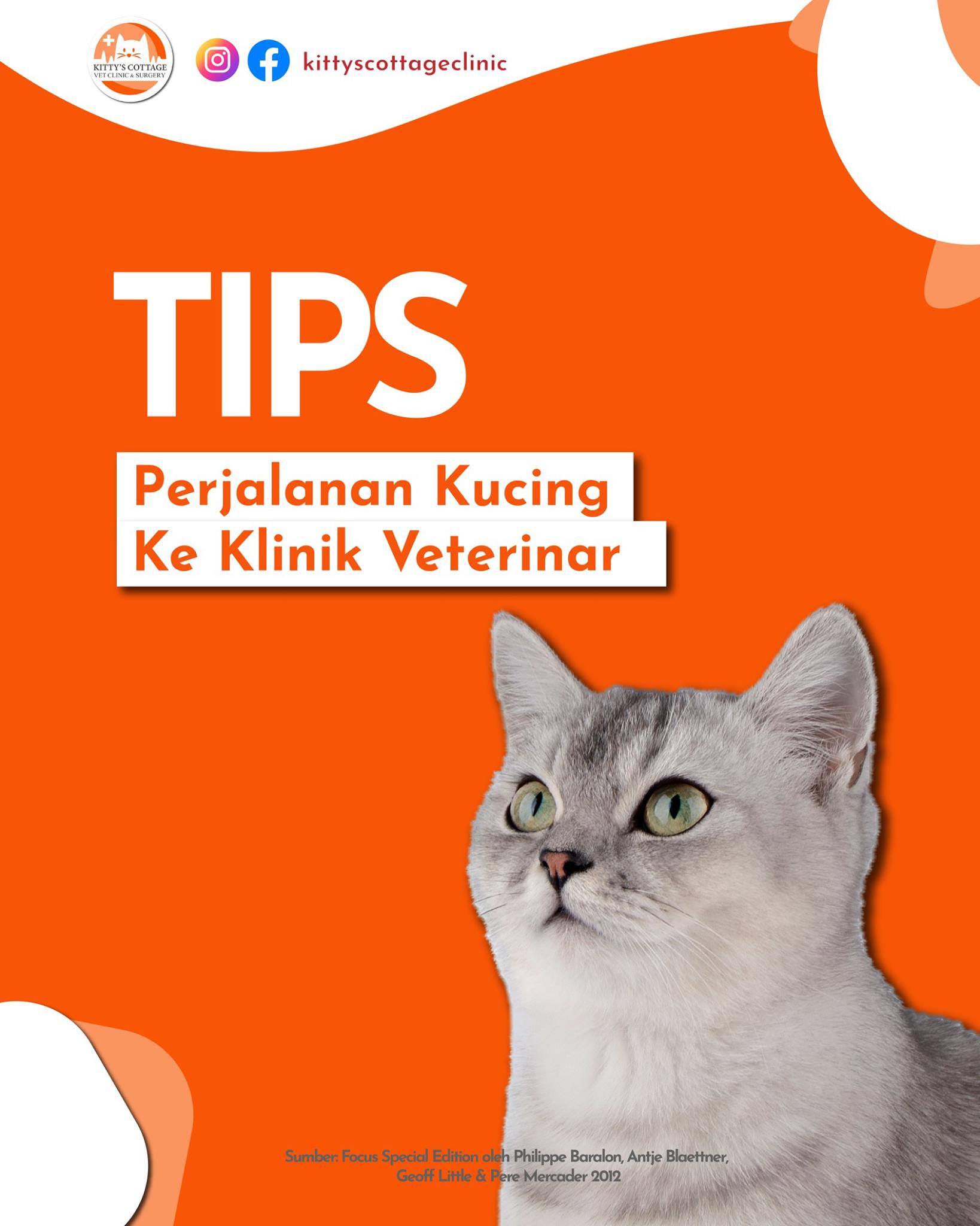 Kitty S Cottage Klinik Haiwan Surgeri Klang Facebook