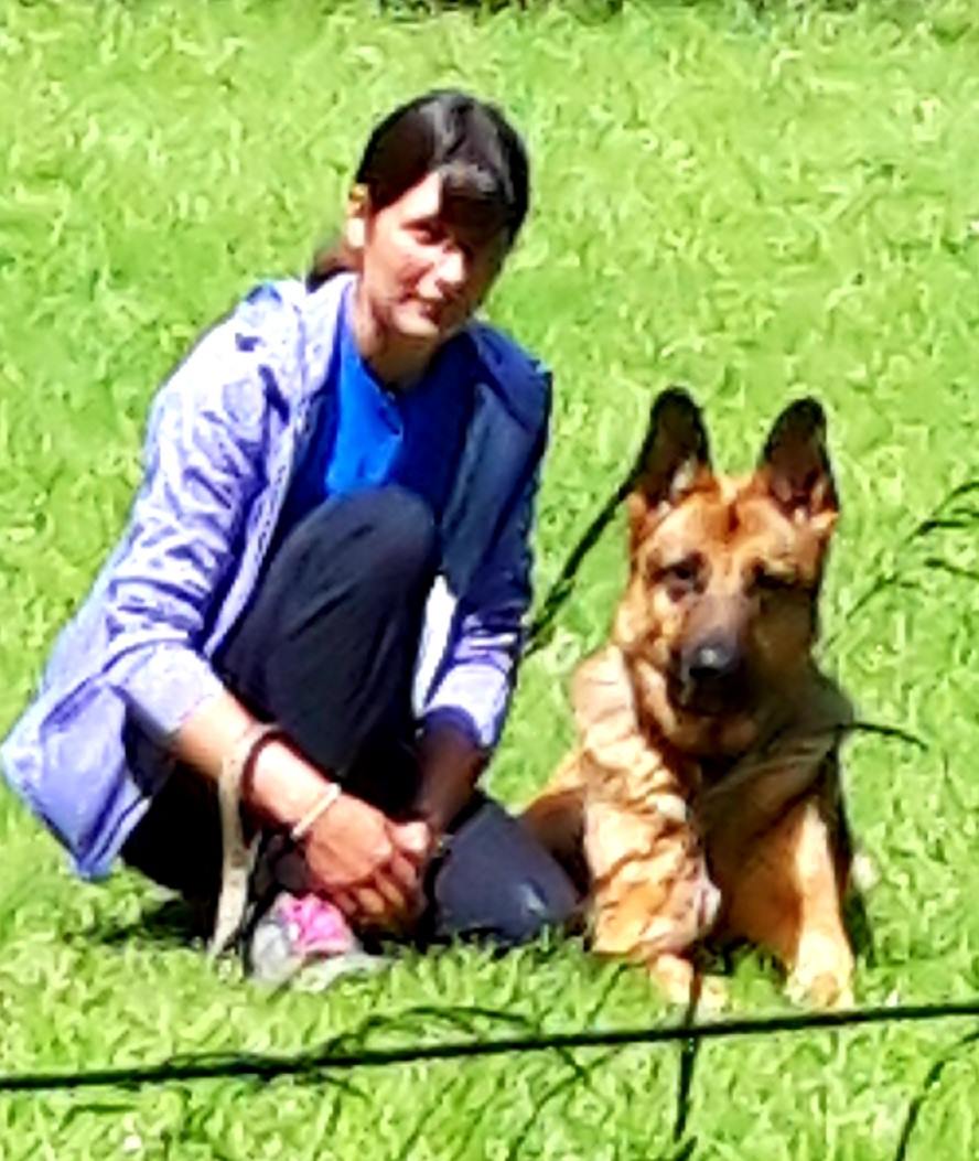 Little Stars Dog Training - 🐾🐾🐾Throw back Thursday 🐾🐾🐾 This handsome ...