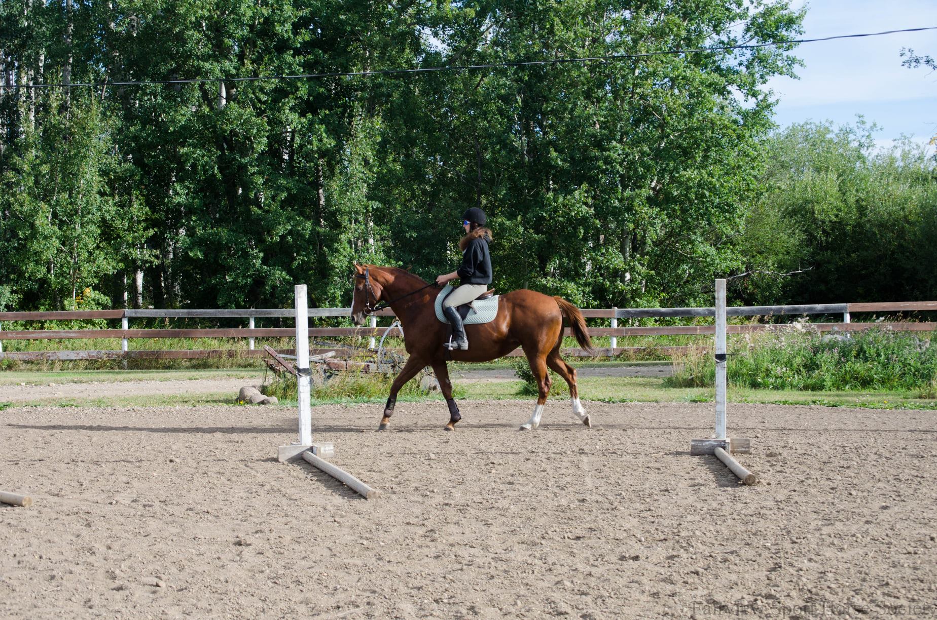 Fairview Sport Horse Society | Fairview AB