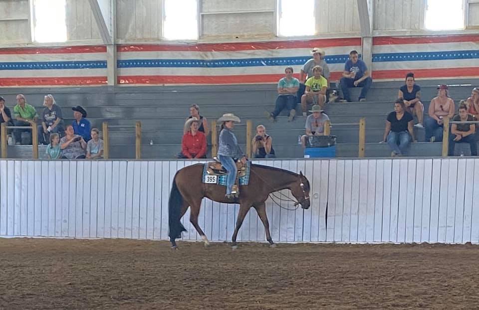 EK Performance Horses | Wellington OH