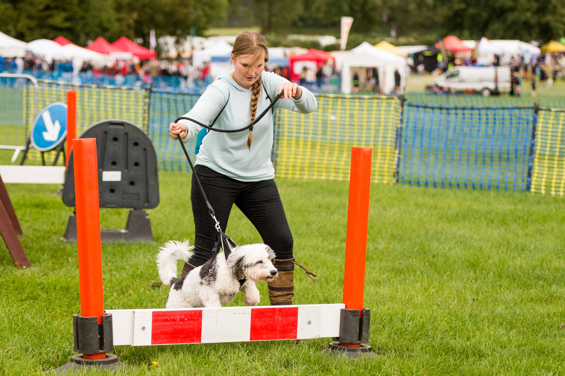 Here at Paws HQ we are always on the... - Paws In the Park