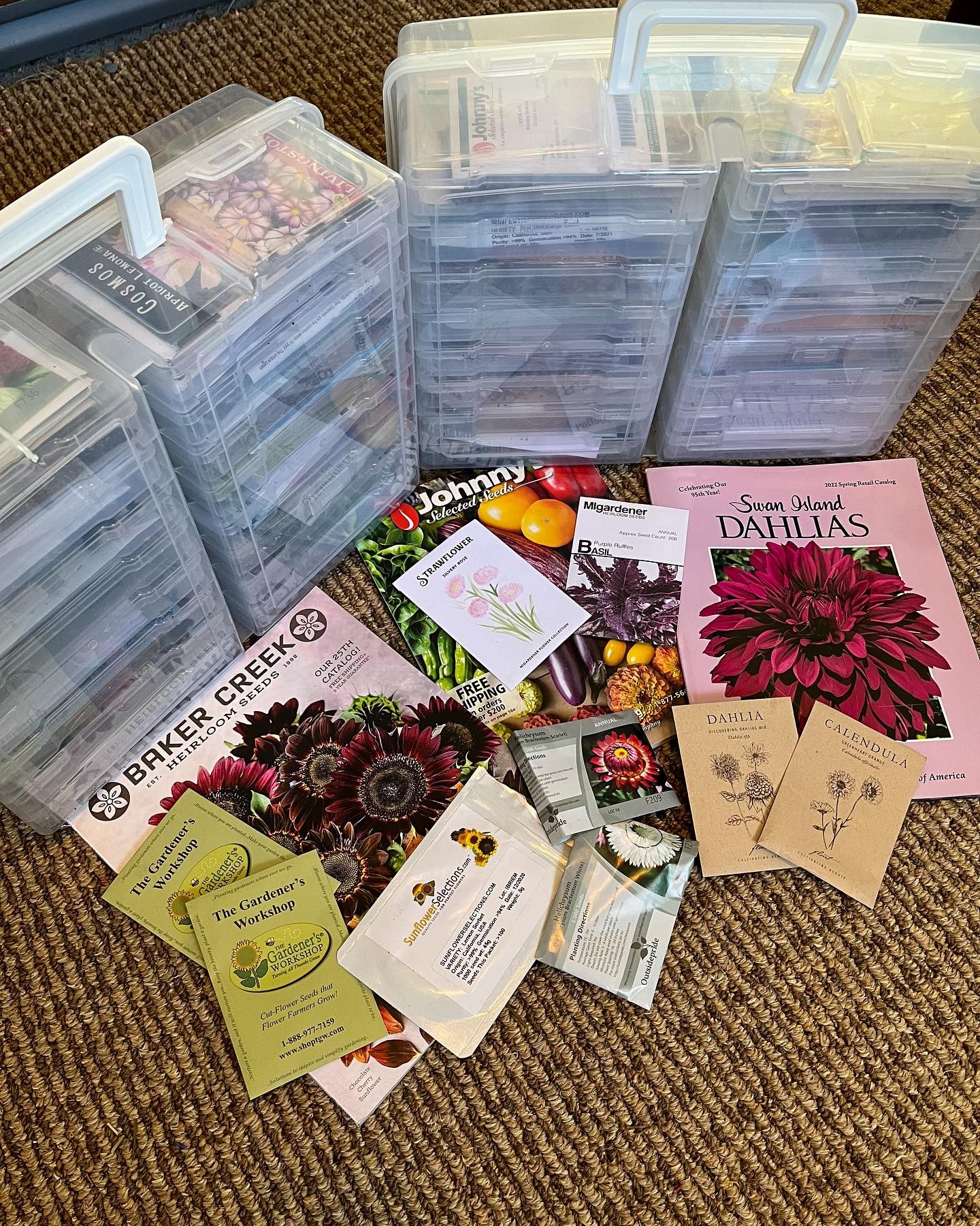 Xbopetda Clear Acrylic Seed Storage Box – 8-Compartment Organizer With Dividers, Markers, Labels & Plant Tags – Perfect For Flower & Vegetable Seeds