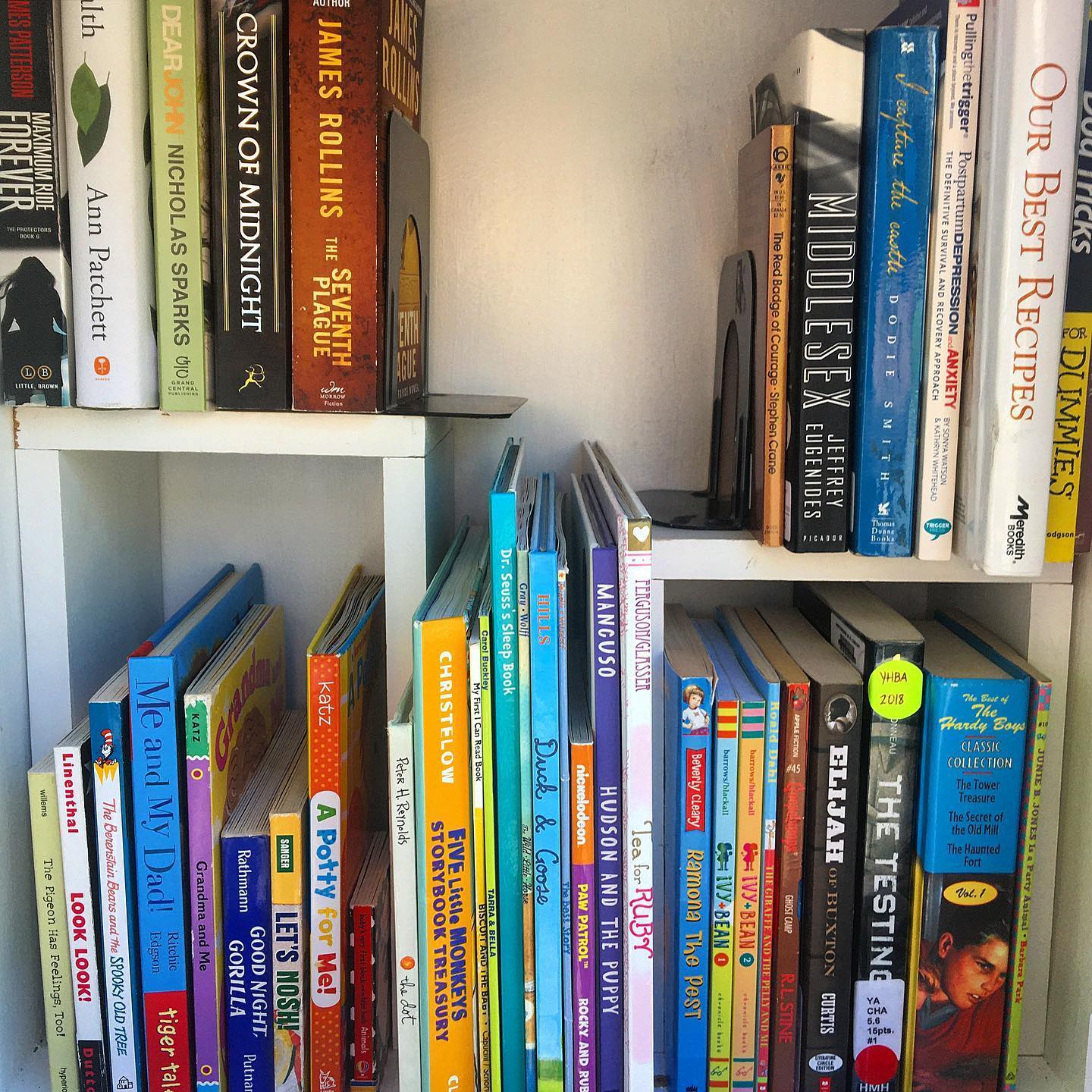Little Free Library of Labrador Lane, Nashville, TN | Nashville TN