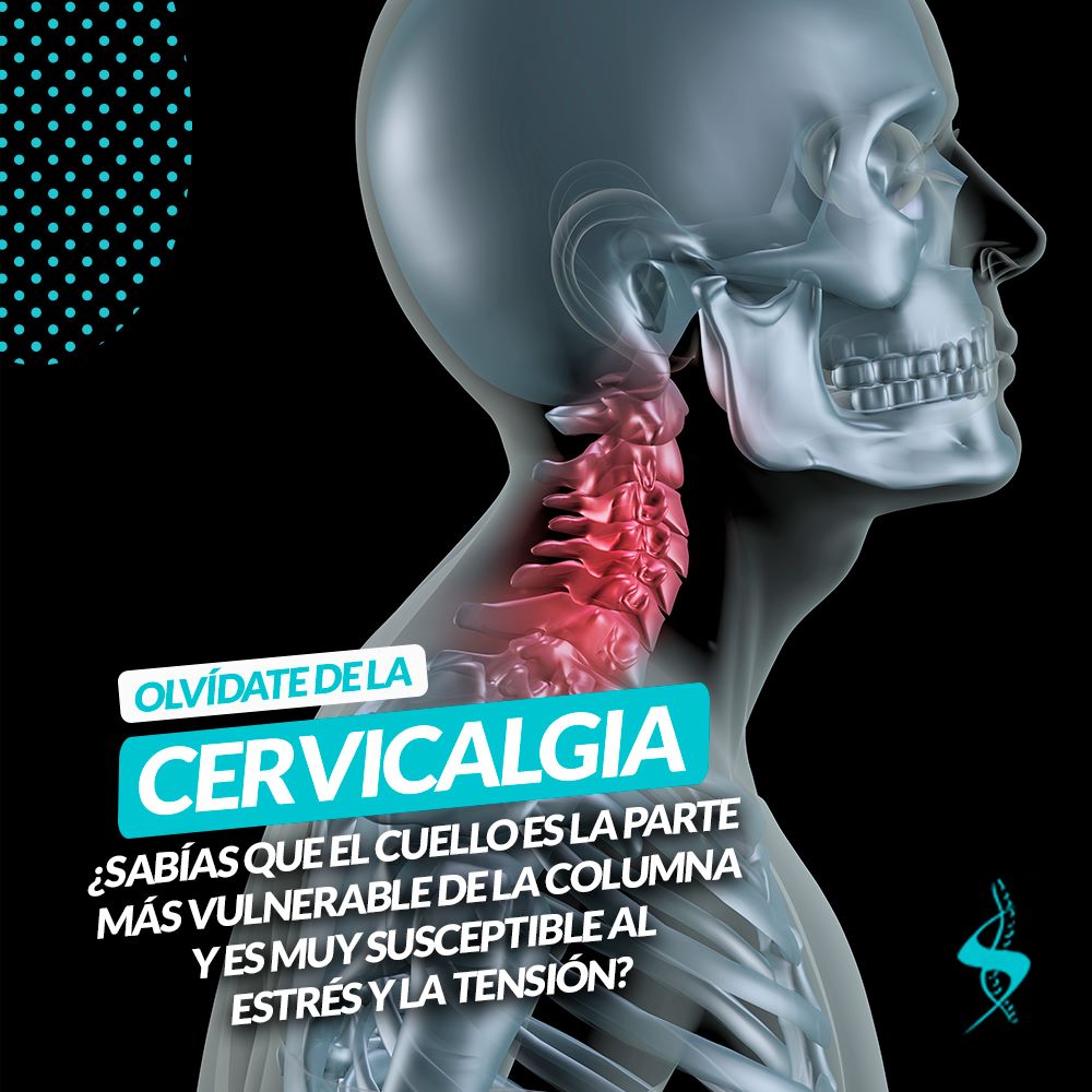️ ️¿Qué es la... - Centro Quiropráctico Stumvoll | Facebook