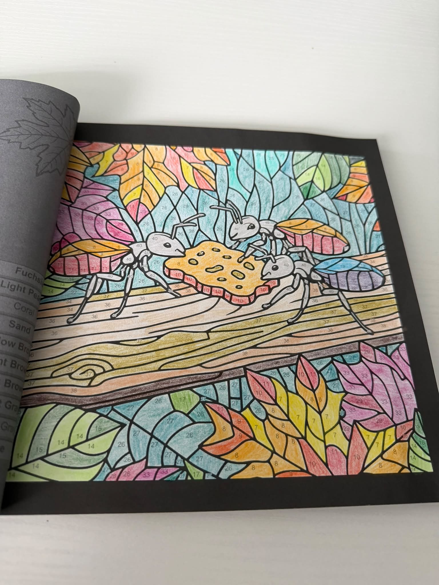 たかりん様 シーグラスアート『 Autumn 』他1点 Stained Glass Autumn CBN ants on leaf colored with Crayola pencils