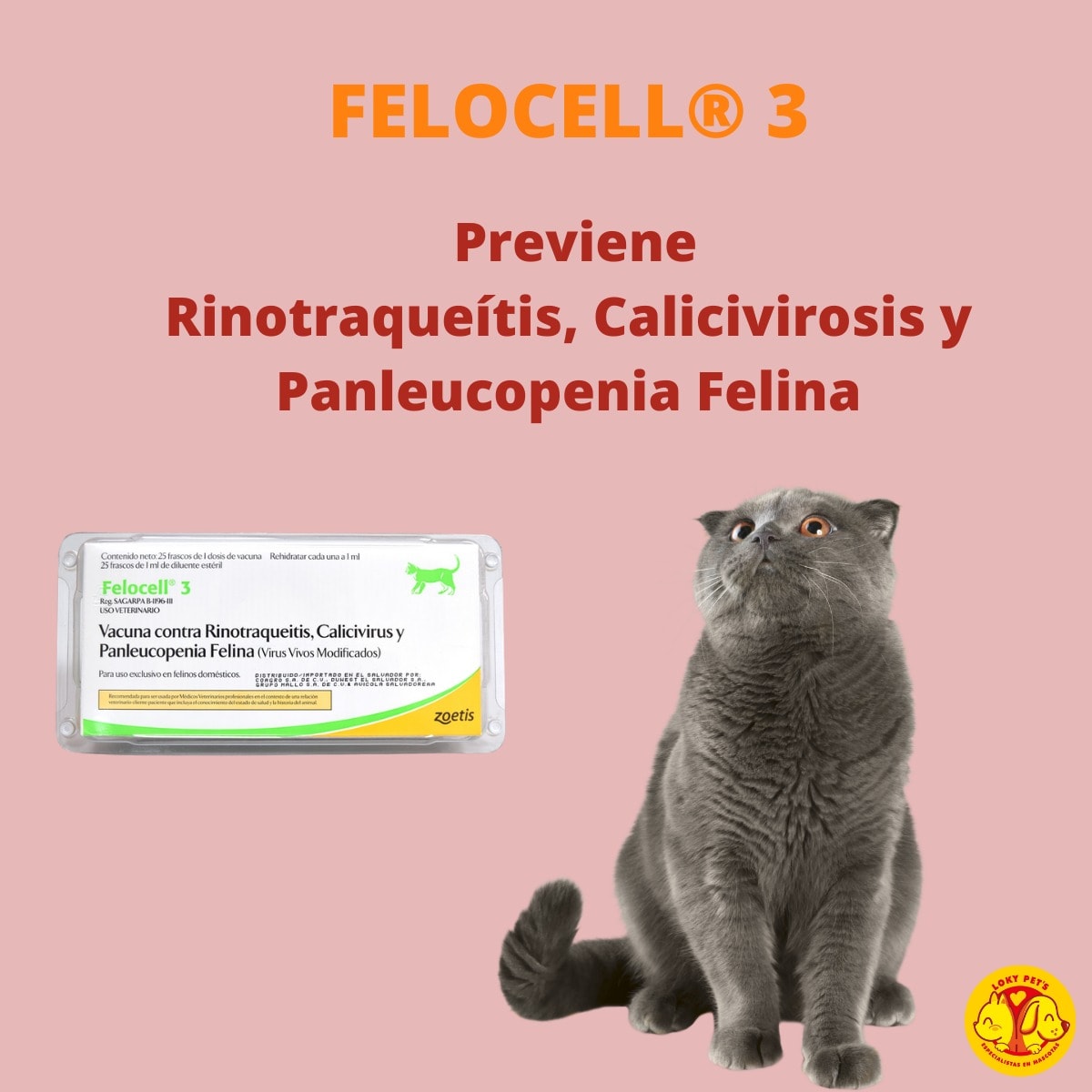 Loky Pet's - ¿Conoces las vacunas Felocell? 🐱 Felocell 3...
