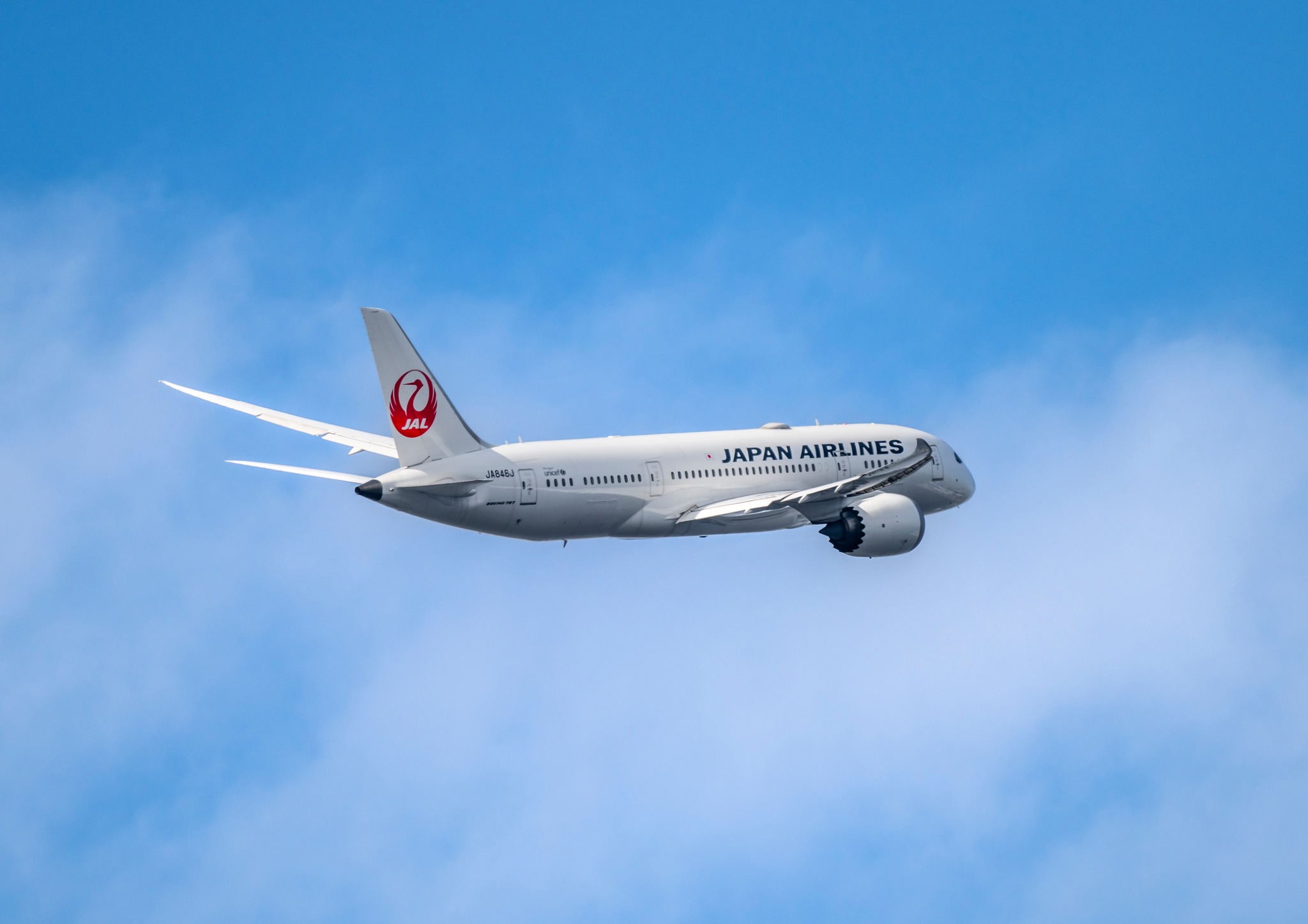 2024.8.16 OSAKA Itami Airport Japan Nikon Z6II NIKKOR Z 180-600 f5