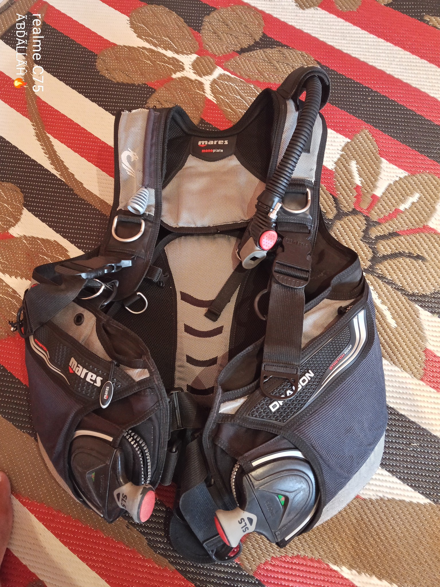 BCD MARES dragon