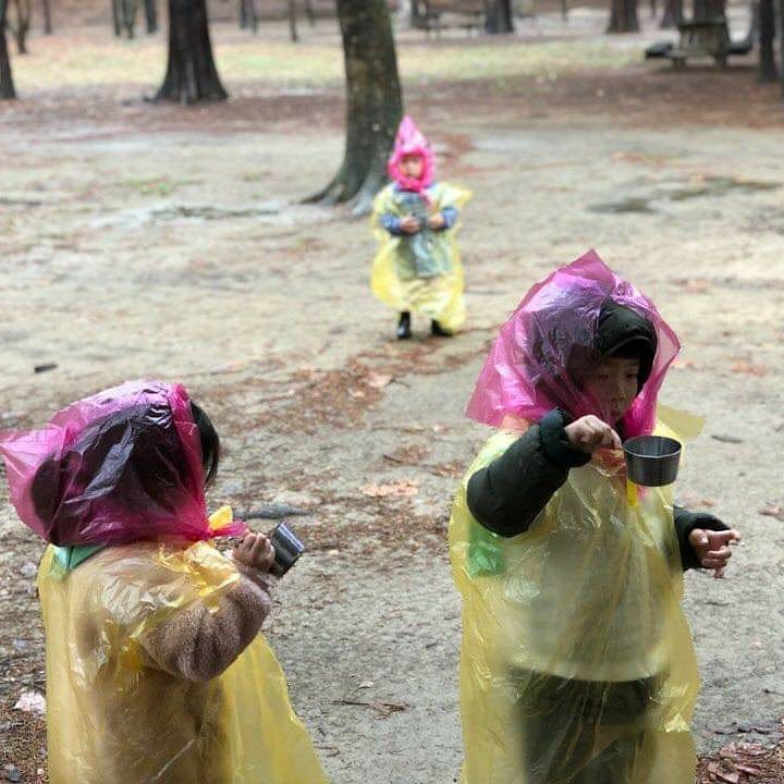 에코맘 - 에코맘 숲에서놀자 도심 속 자연놀이 아카이브 - 비 오는 날의 자연놀이 ☂️🌧🌂 2년 전... | Facebook