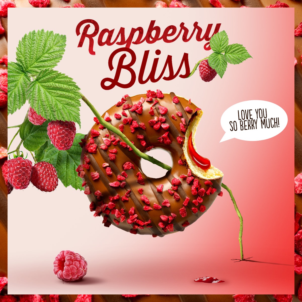 Deze Raspberry Bliss is... - Donut worry be Happy Belgium | Facebook