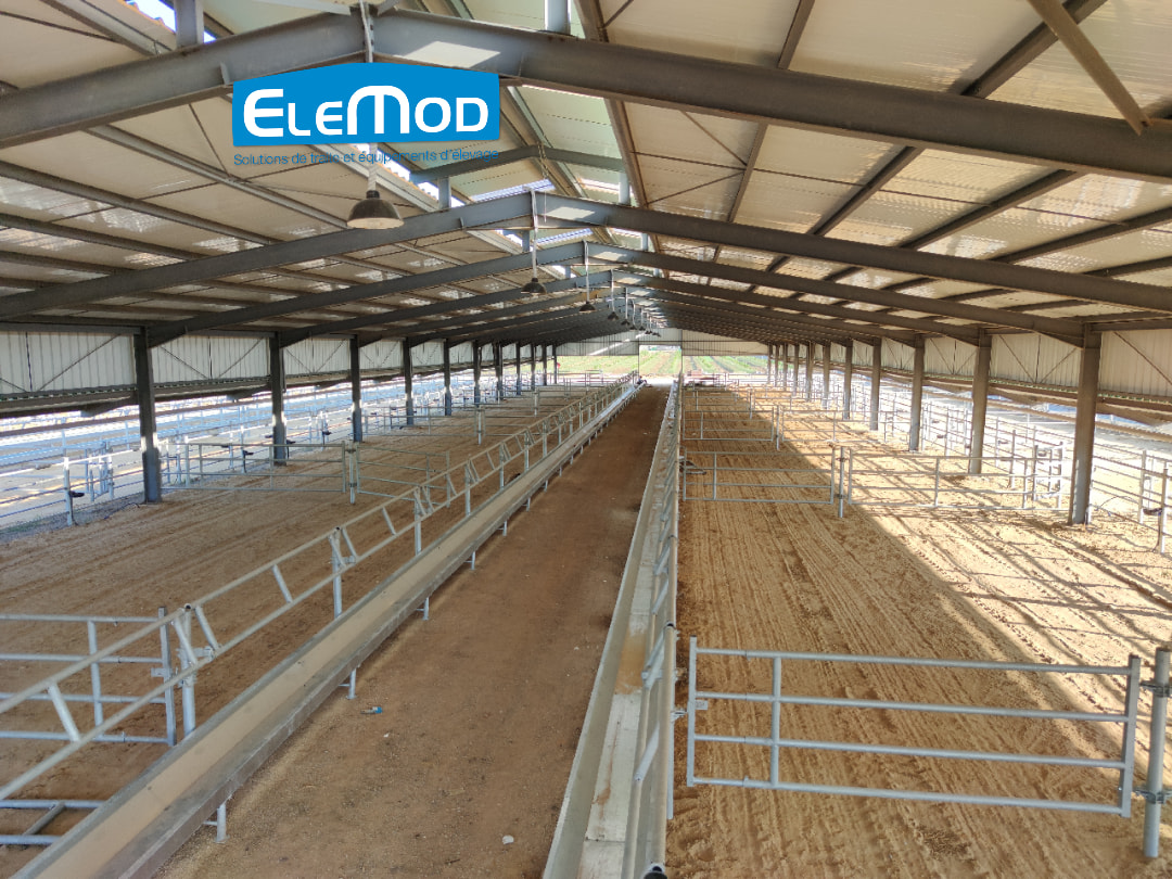 EleMod