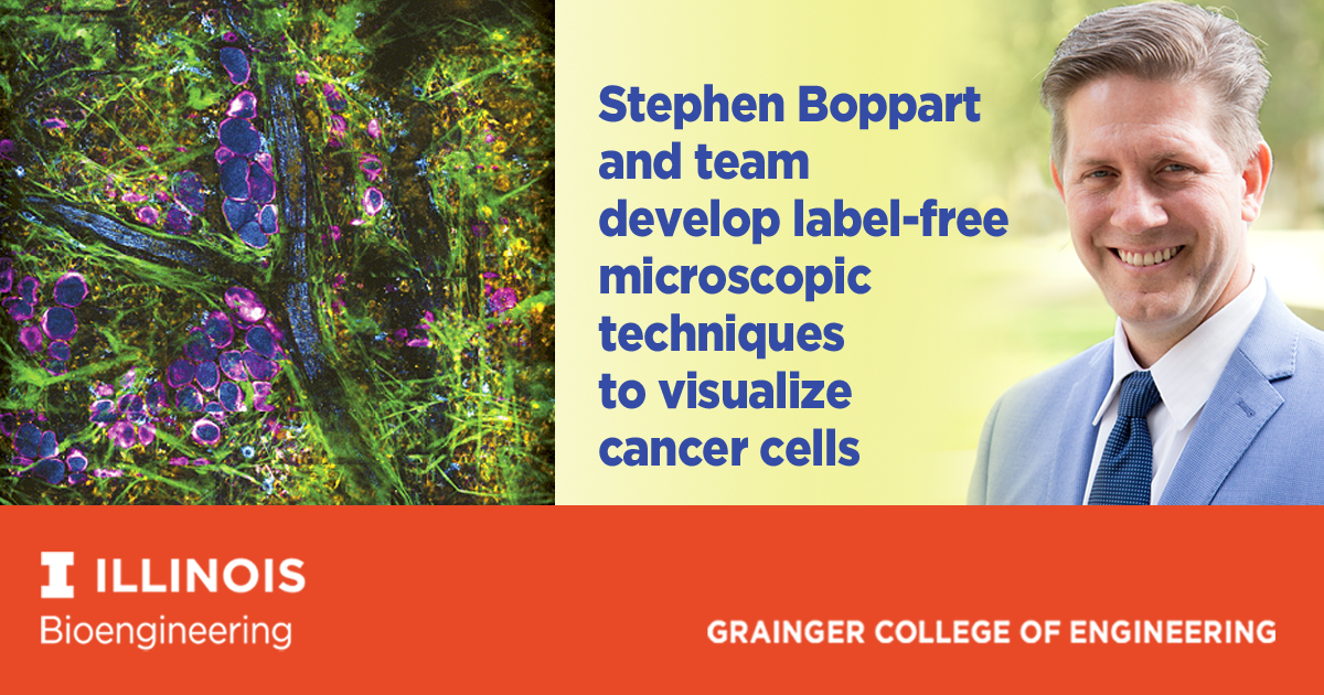 UI - Visualizing cancer cells in situ via new label-free technique now ...