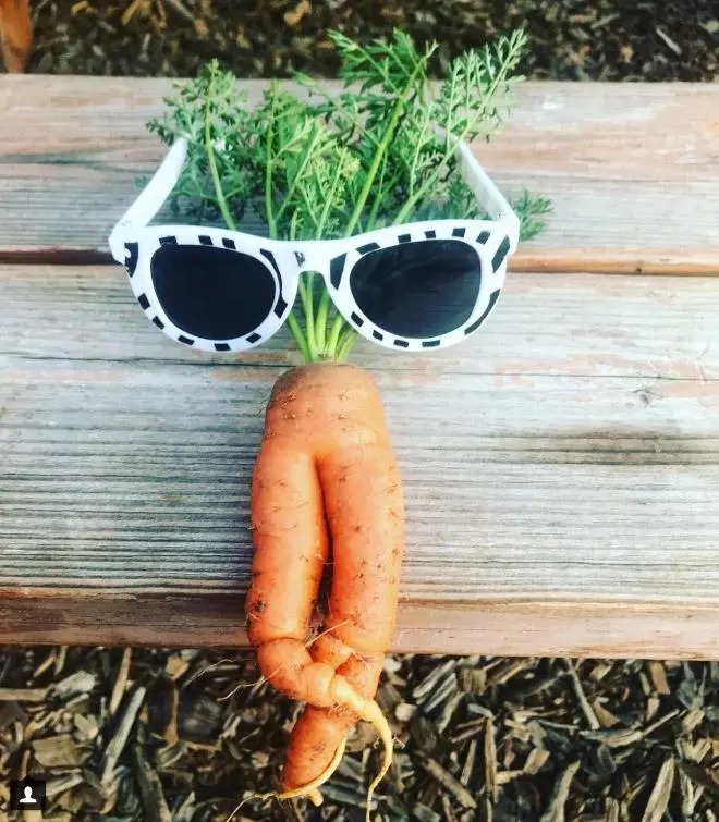 Meta Radish