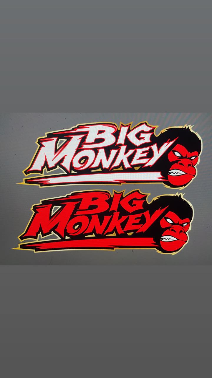 I did a new logo... - TrueRacer Championship Iracing Series