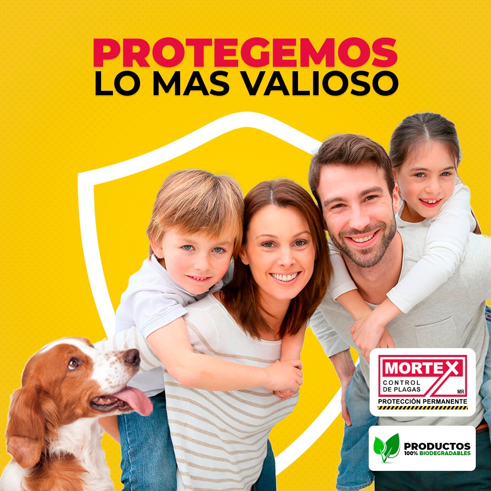 La #sanitización y... - Control de Plagas Mortex | Facebook