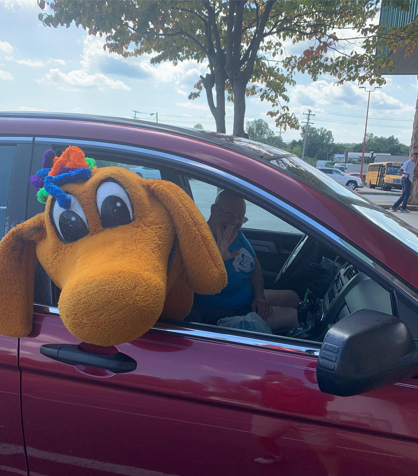 Kate's - ROLLER ROO is always ready for his next adventure!! Book your ...