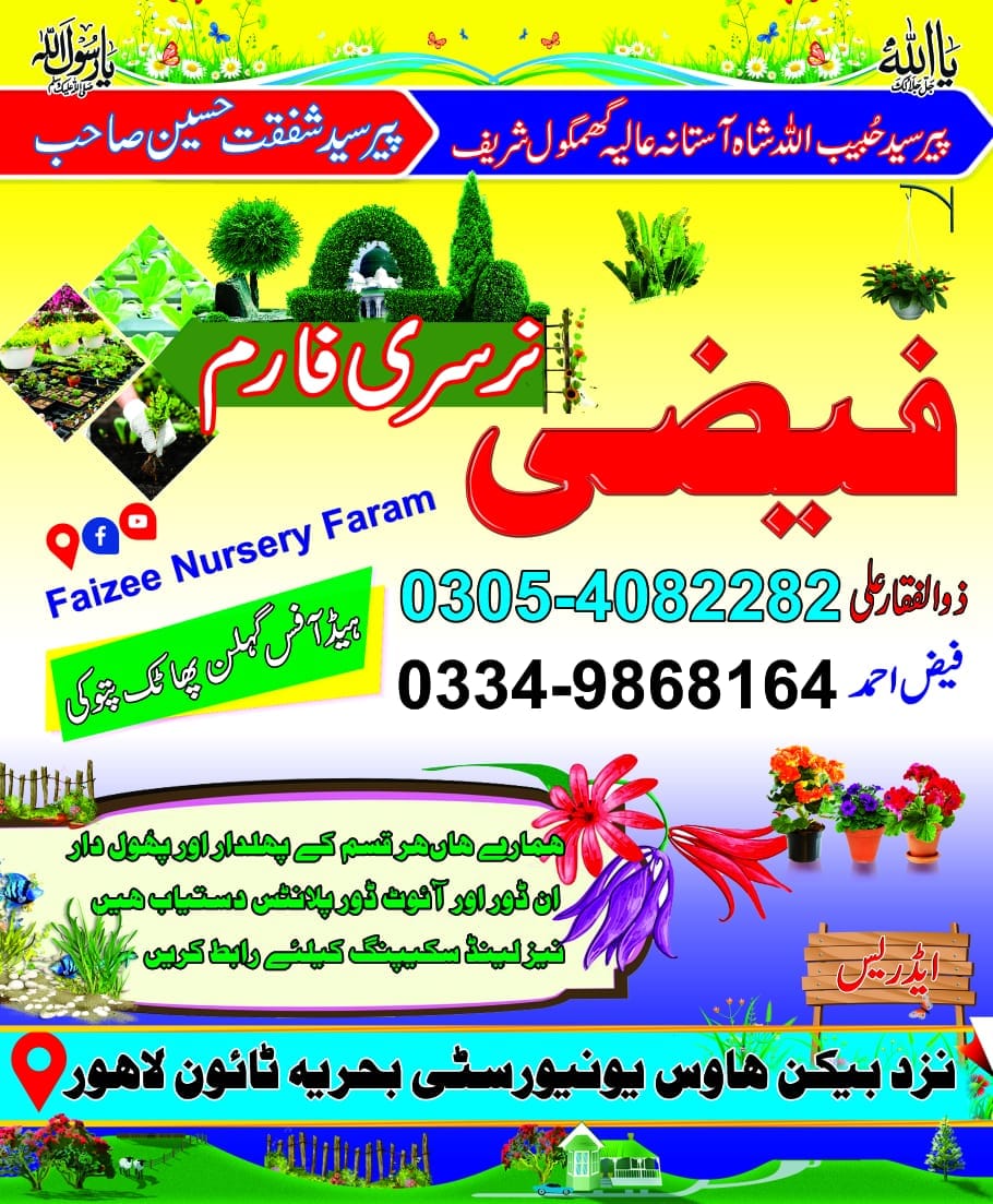 New Branch at Bahria Town lahore - Faizee Nursery Farm | Facebook