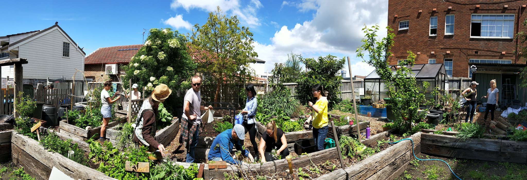 Happy International Compost Awareness... - Compost Revolution | Facebook