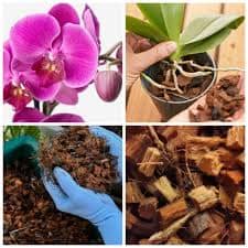 Samoa Buy & Sell Online