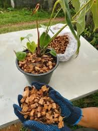 Samoa Buy & Sell Online