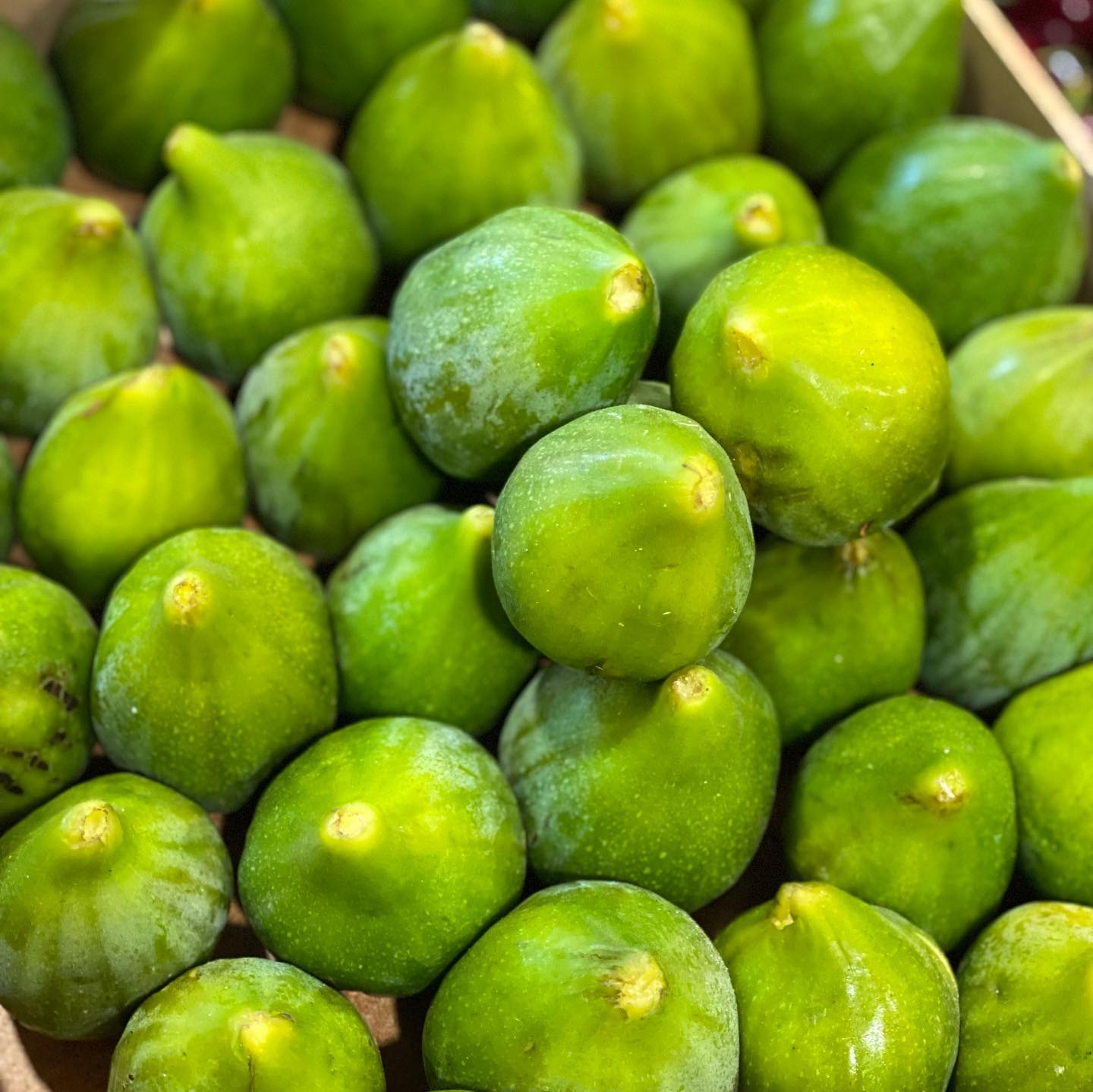 Frutta e Verdura Pancotti | Tarquinia