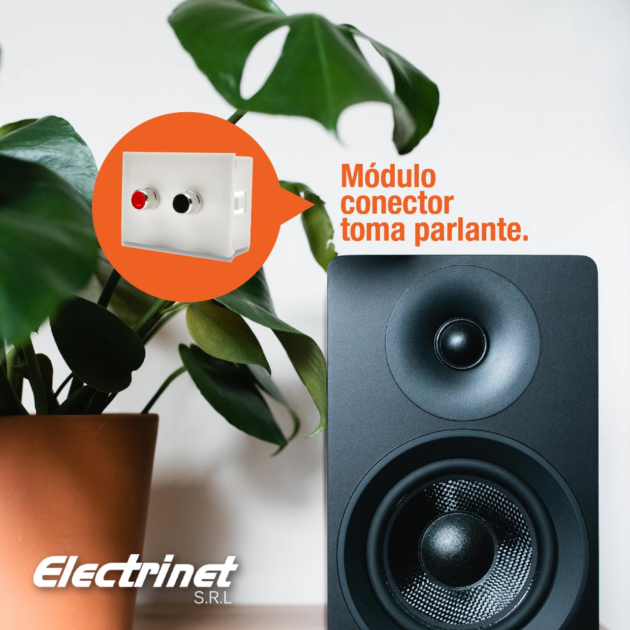Electrinet SRL - ¡Módulo conector toma parlante! de...