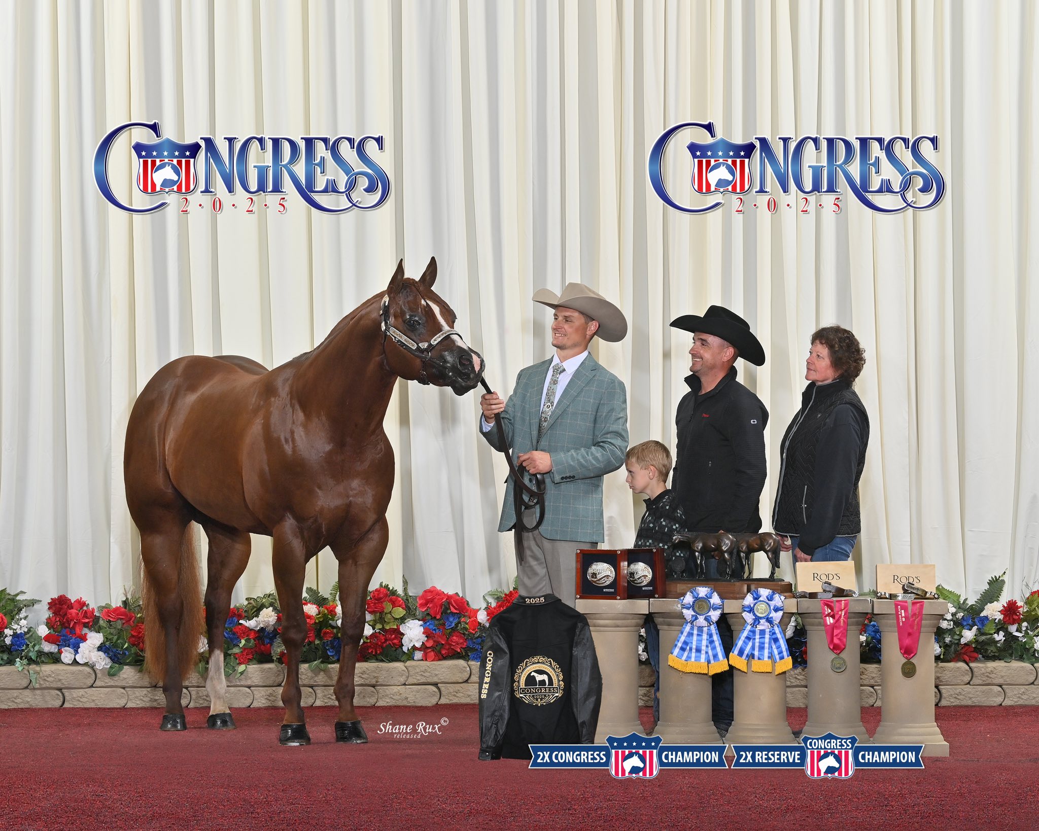 Travis - “Cool Entention”- 2019 Sorrel Stallion (Ententions x Redneck ...