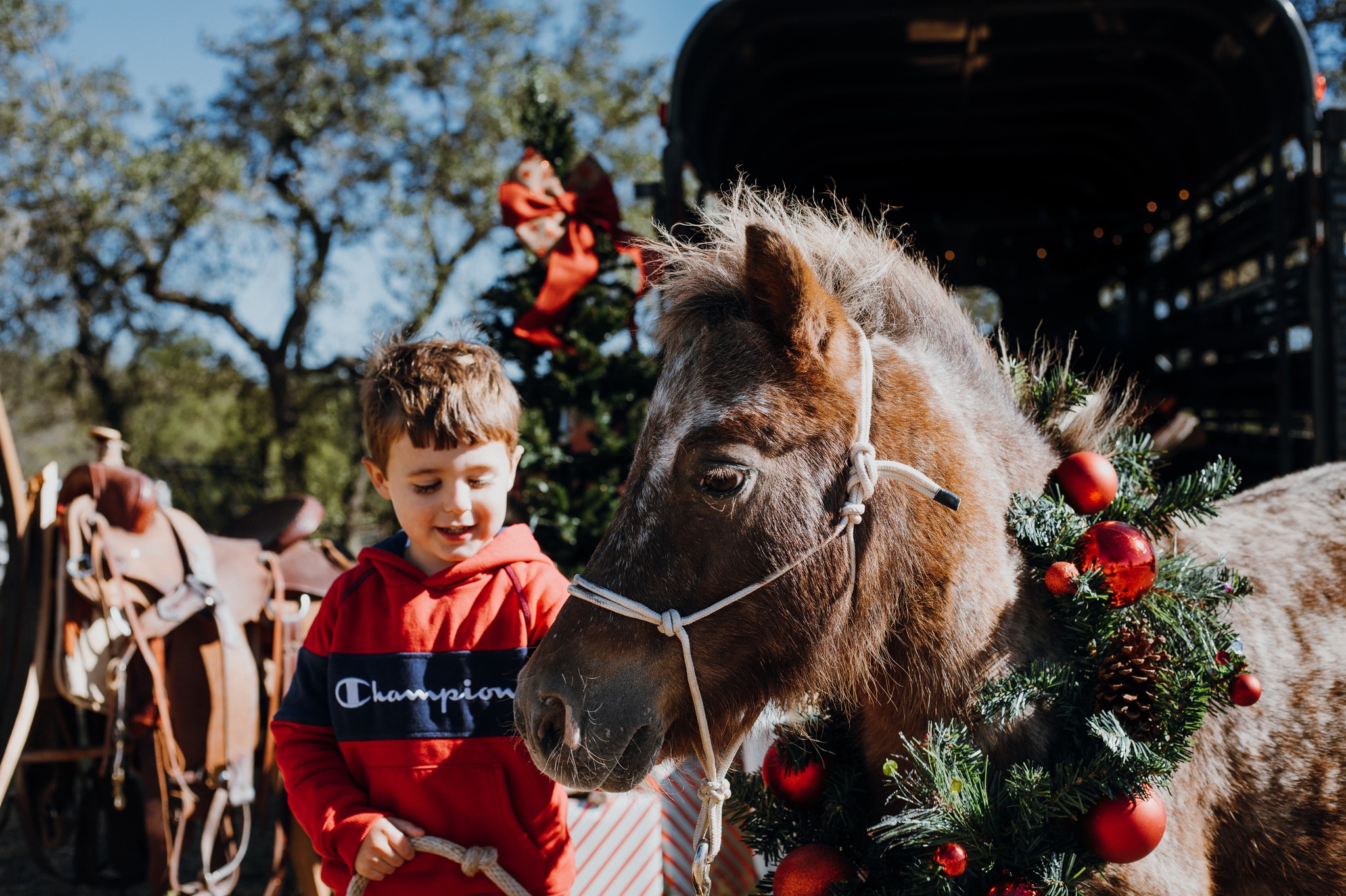 Twisted Bit Ranch | Wimberley TX