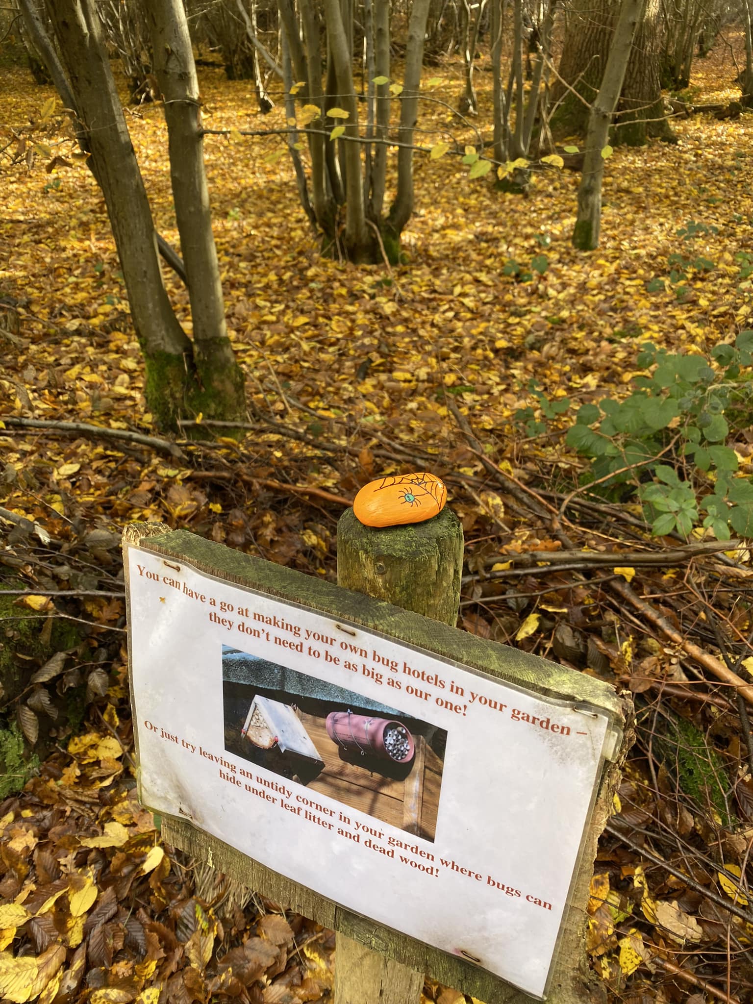 Harlow Rocks | Parndon Wood Nature Reserve | Facebook