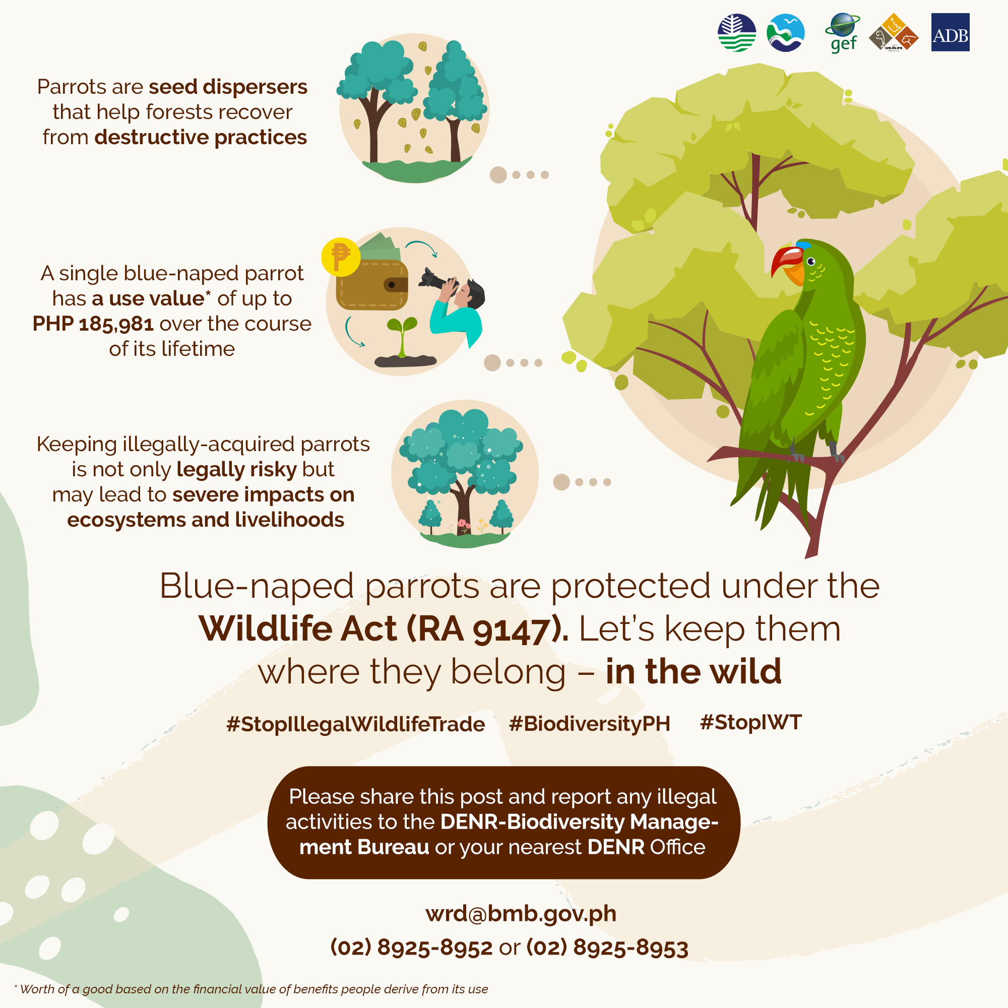 DENR-Biodiversity - 𝐍𝐀𝐓𝐈𝐕𝐄 𝐏𝐀𝐑𝐑𝐎𝐓𝐒: 𝐒𝐄𝐄𝐃 𝐃𝐈𝐒𝐏𝐄𝐑𝐒𝐄𝐑𝐒 𝐓𝐇𝐀𝐓 𝐁𝐄𝐋𝐎𝐍𝐆 𝐈𝐍 𝐓𝐇𝐄 ...