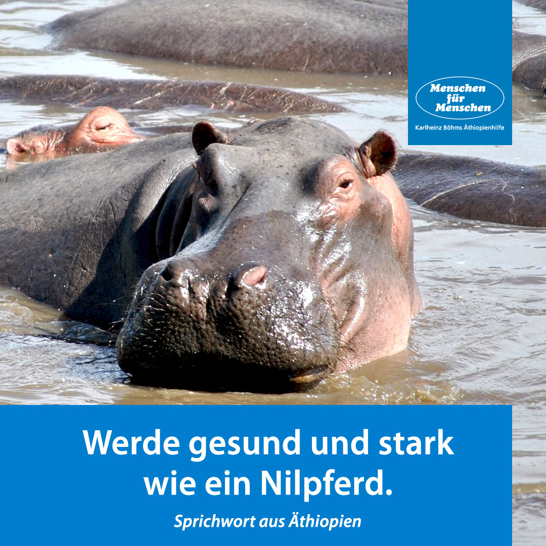 Wenn Die Tage Kurzer Und Die Menschen Fur Menschen