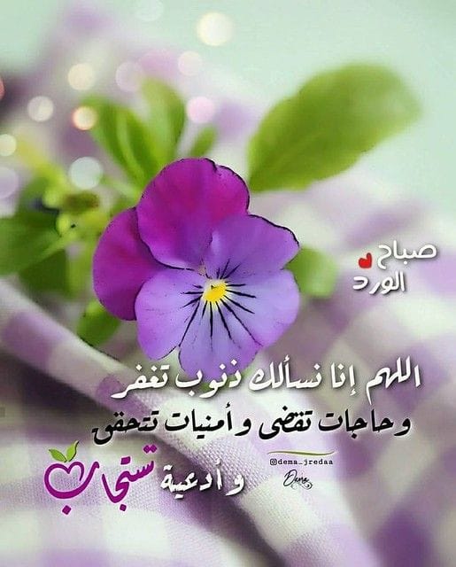 Jamal R. Rasool Al-abady