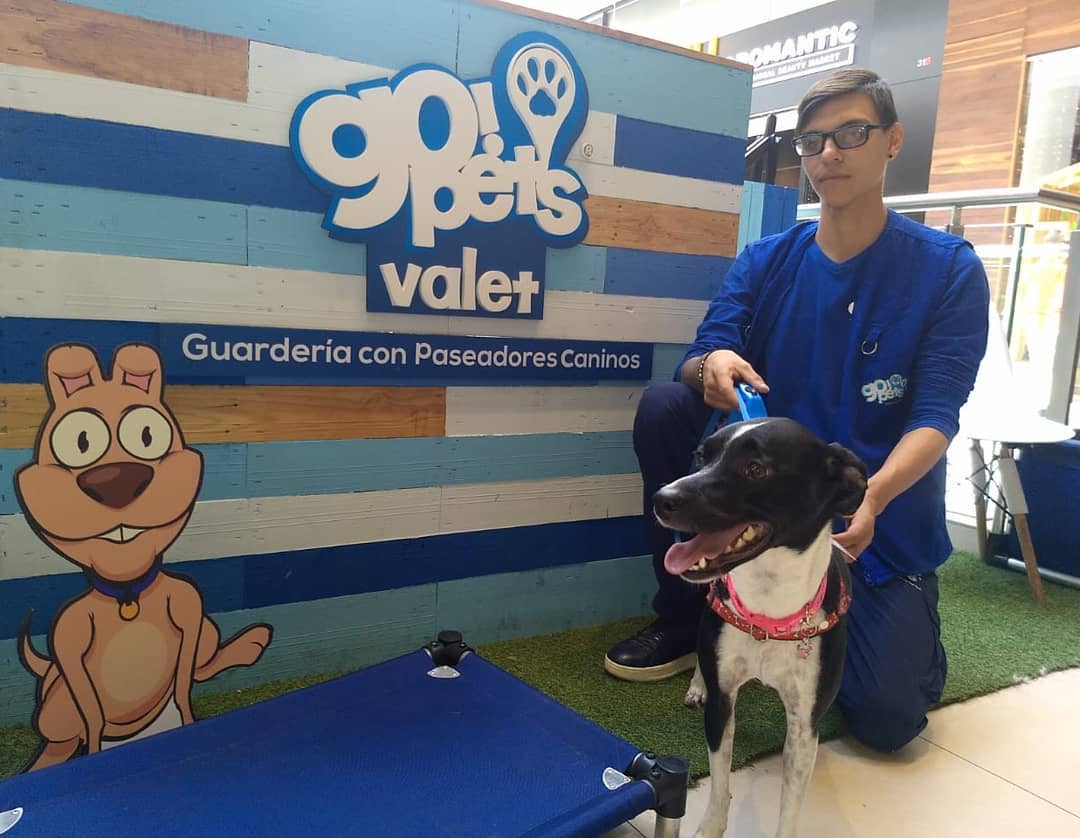 Go Pets | Medellín