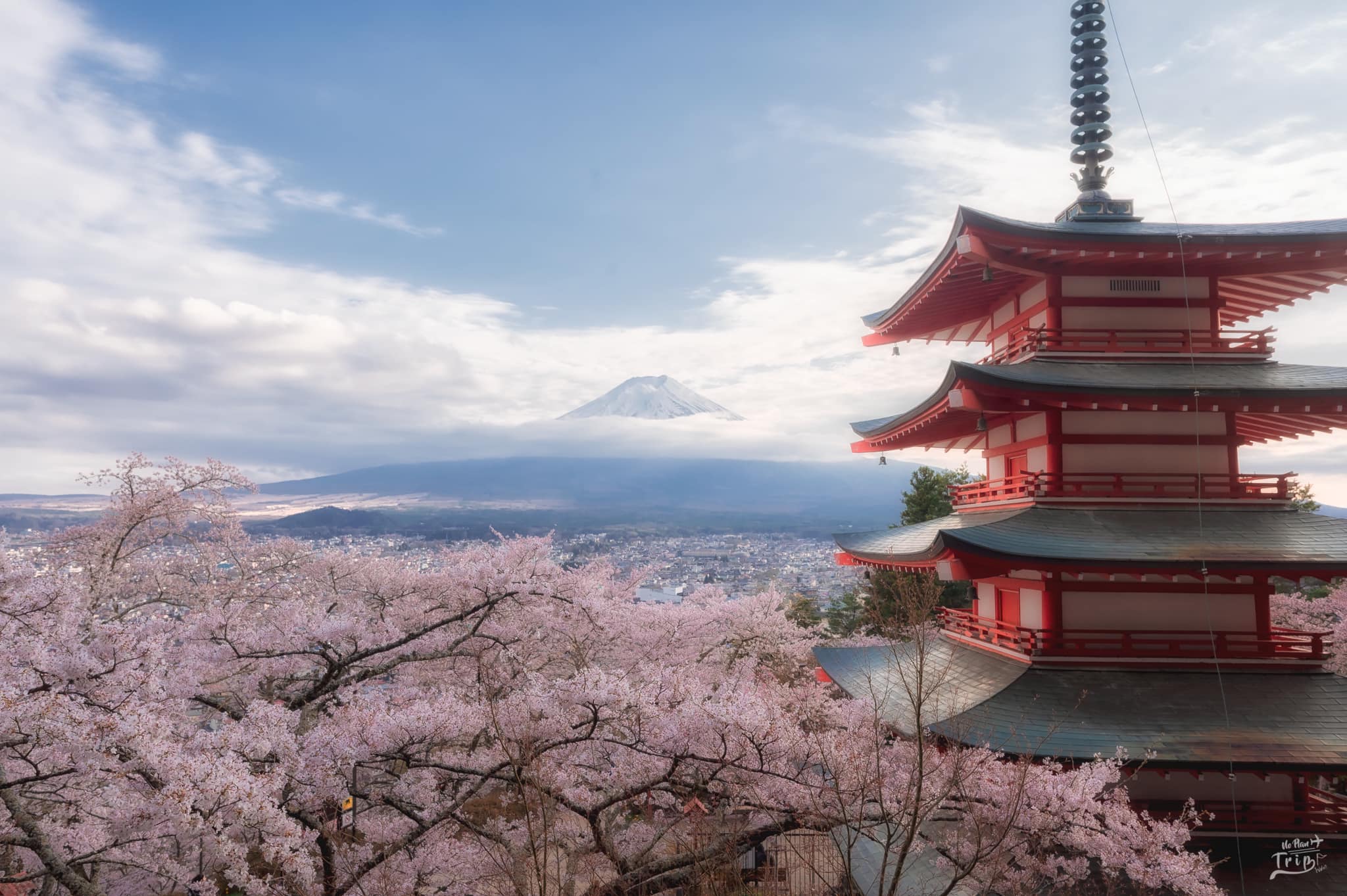 Matane Japan - 😍🌸🗻🌸 🙌👏สวยงาม ติดตามรูปสวยๆได้👇🏻 | Facebook