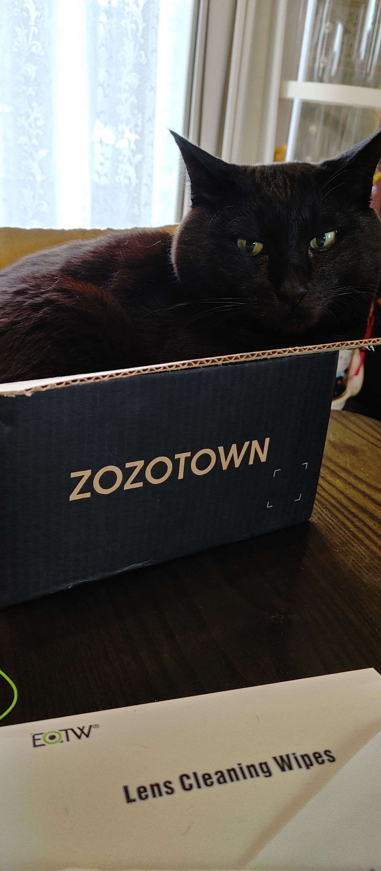 黒猫ZOZOTOWN😁