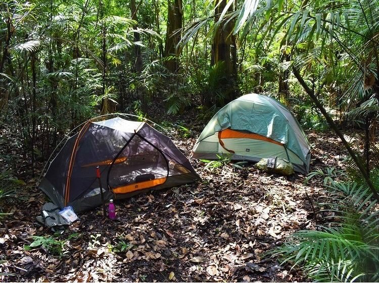 Amazonia