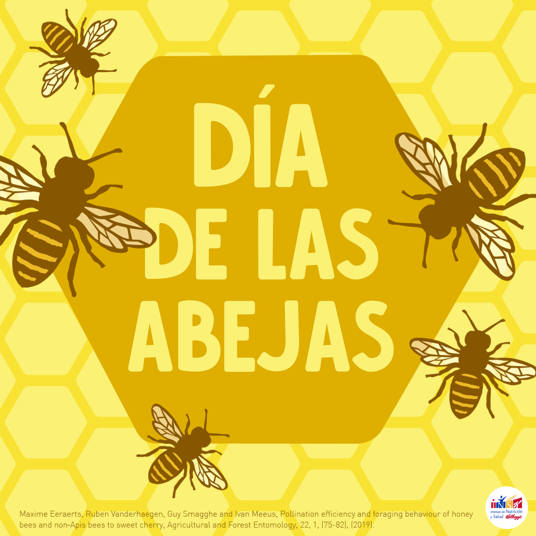 INSK - Gracias a estos insectos, las plantas se pueden...