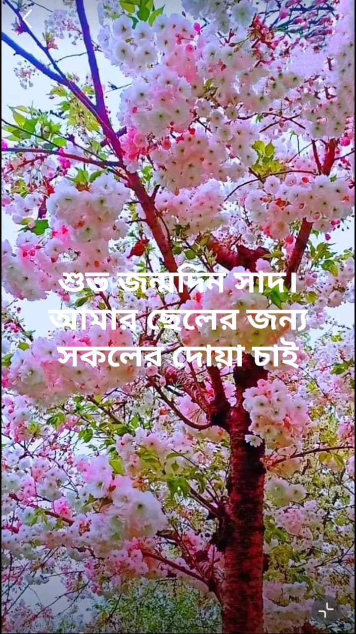 Md Mahbub Khan
