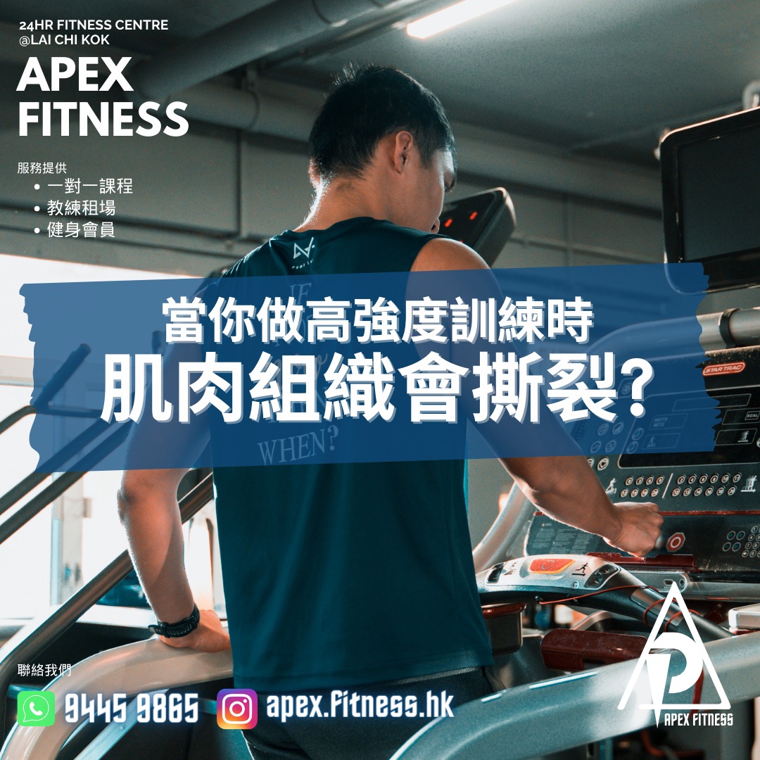 APEX - 健身迷思： 當你做高強度訓練時，肌肉組織會微小撕裂? #apexfitness #荔枝角健身室 #荔枝角租場 #香港私教 #荔枝 ...