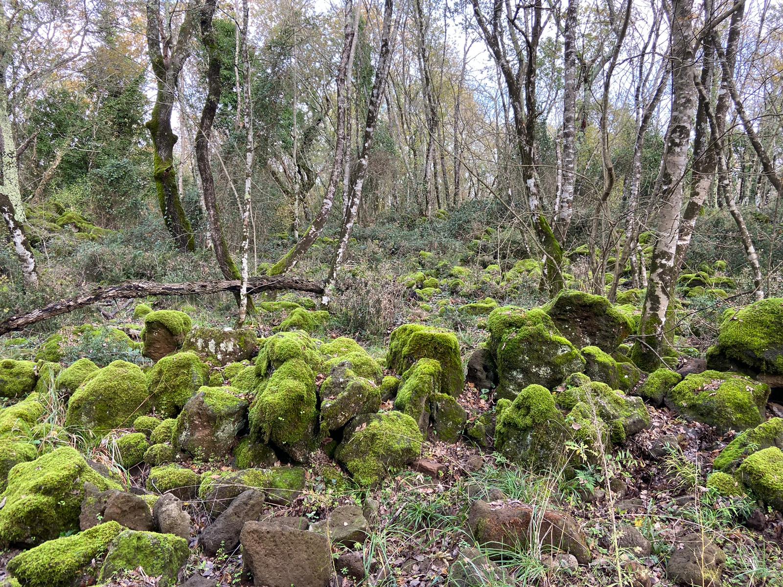 Trusca Piccola Tenuta Bio