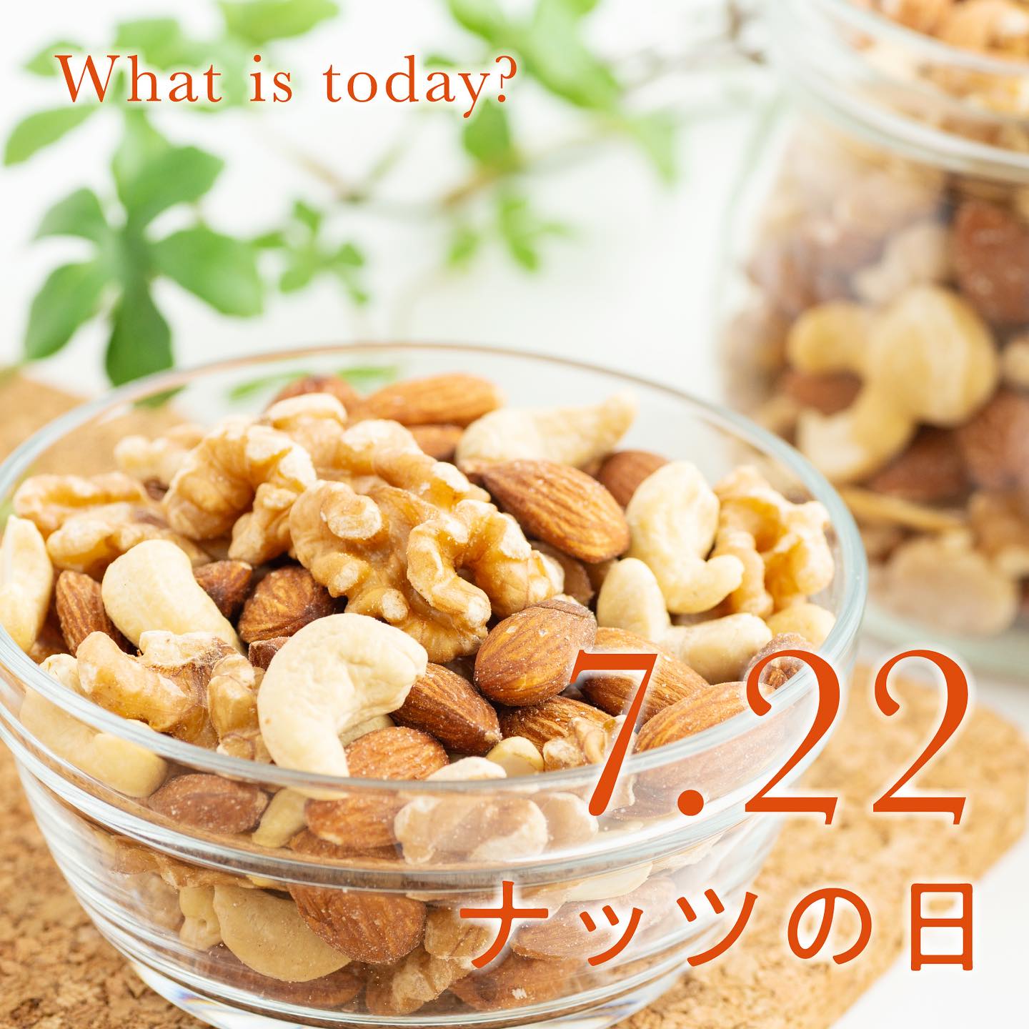 SOONN - 【What is today? -今日は何の日？-】 今日は「ナッツの日」...