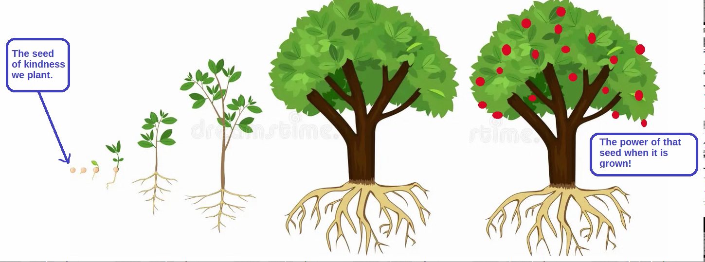 What seed of kindness are you planting today?
