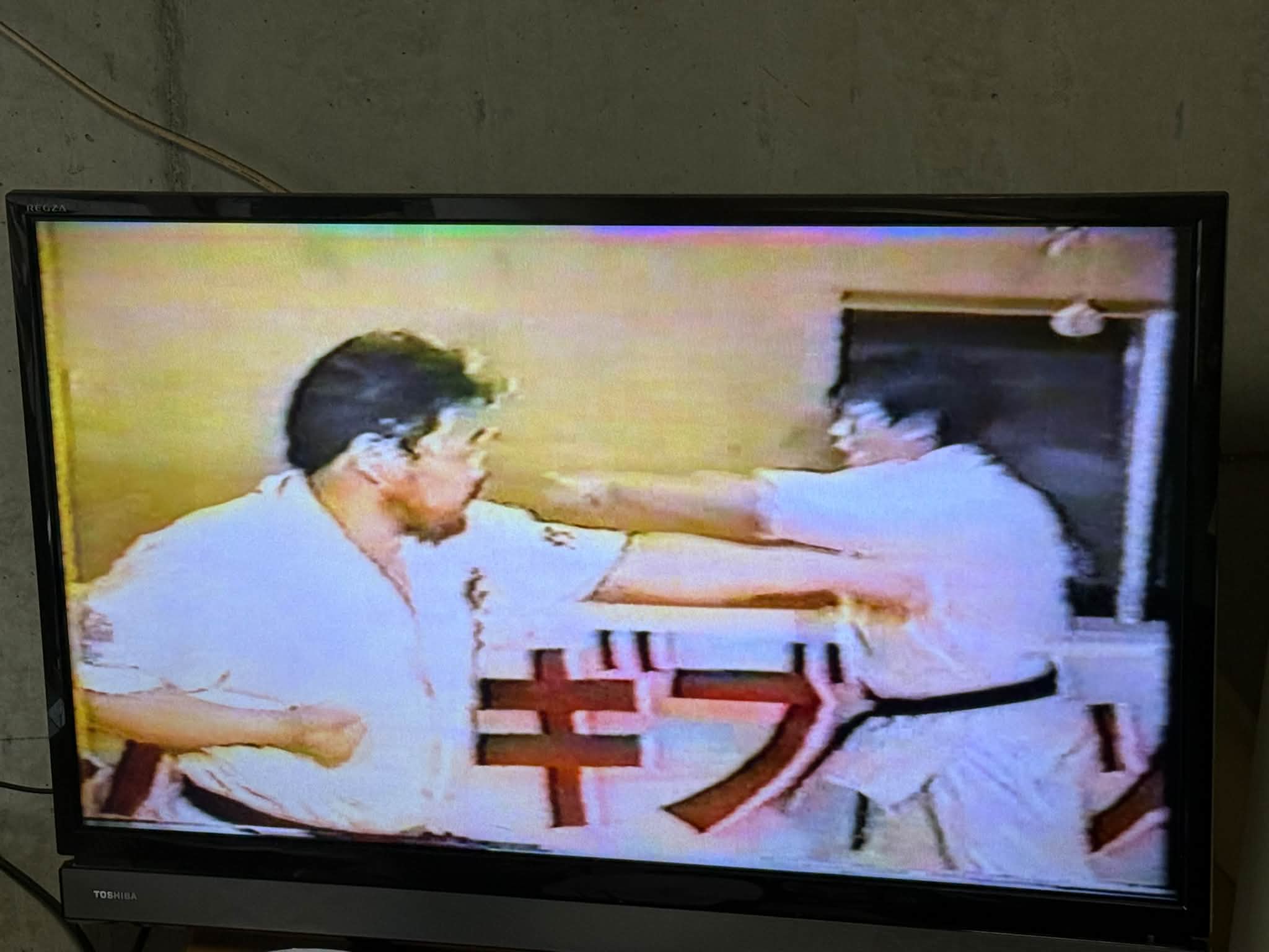 1990年、2月10日 新日本プロレス東京ドーム大会。 「アントニオ猪木